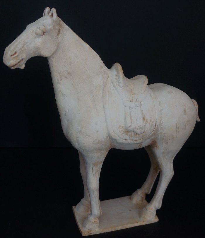 Tang Dynasty Unglazed White Pottery Horse